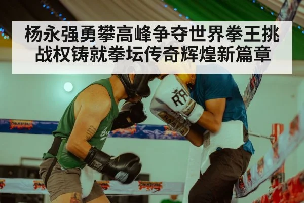 杨永强勇攀高峰争夺世界拳王挑战权铸就拳坛传奇辉煌新篇章